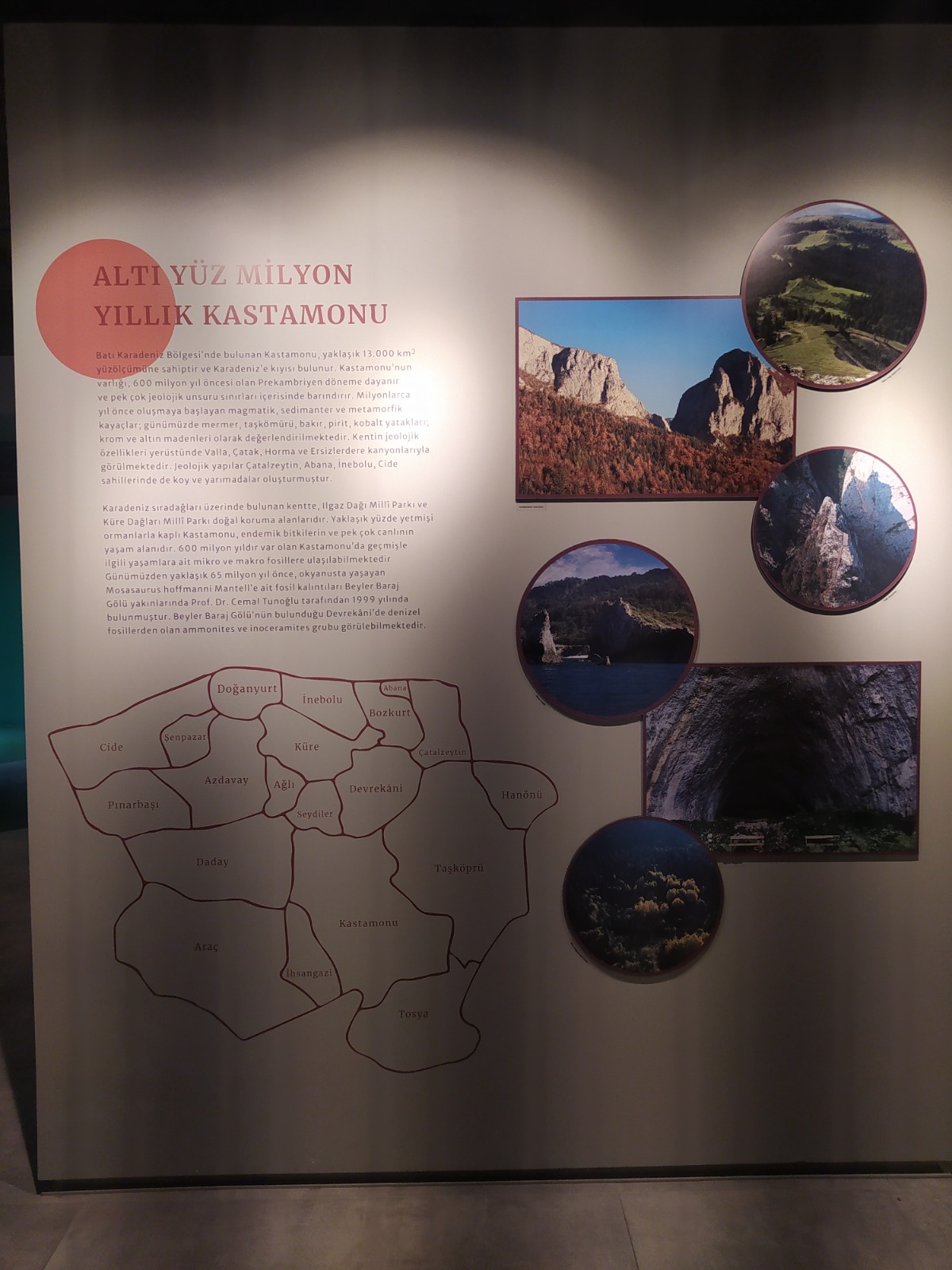 service single image