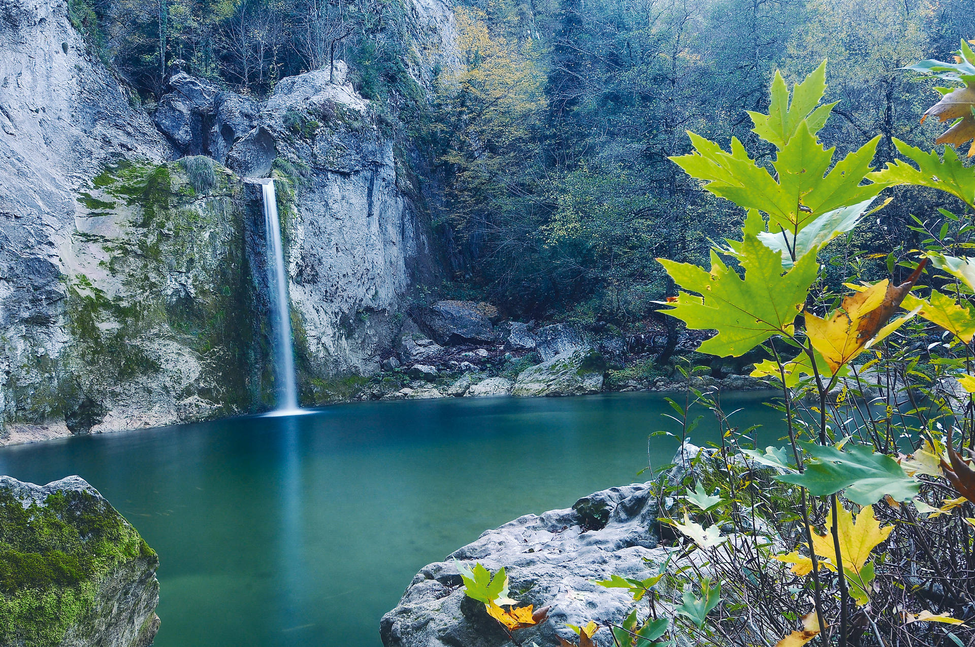 service single image