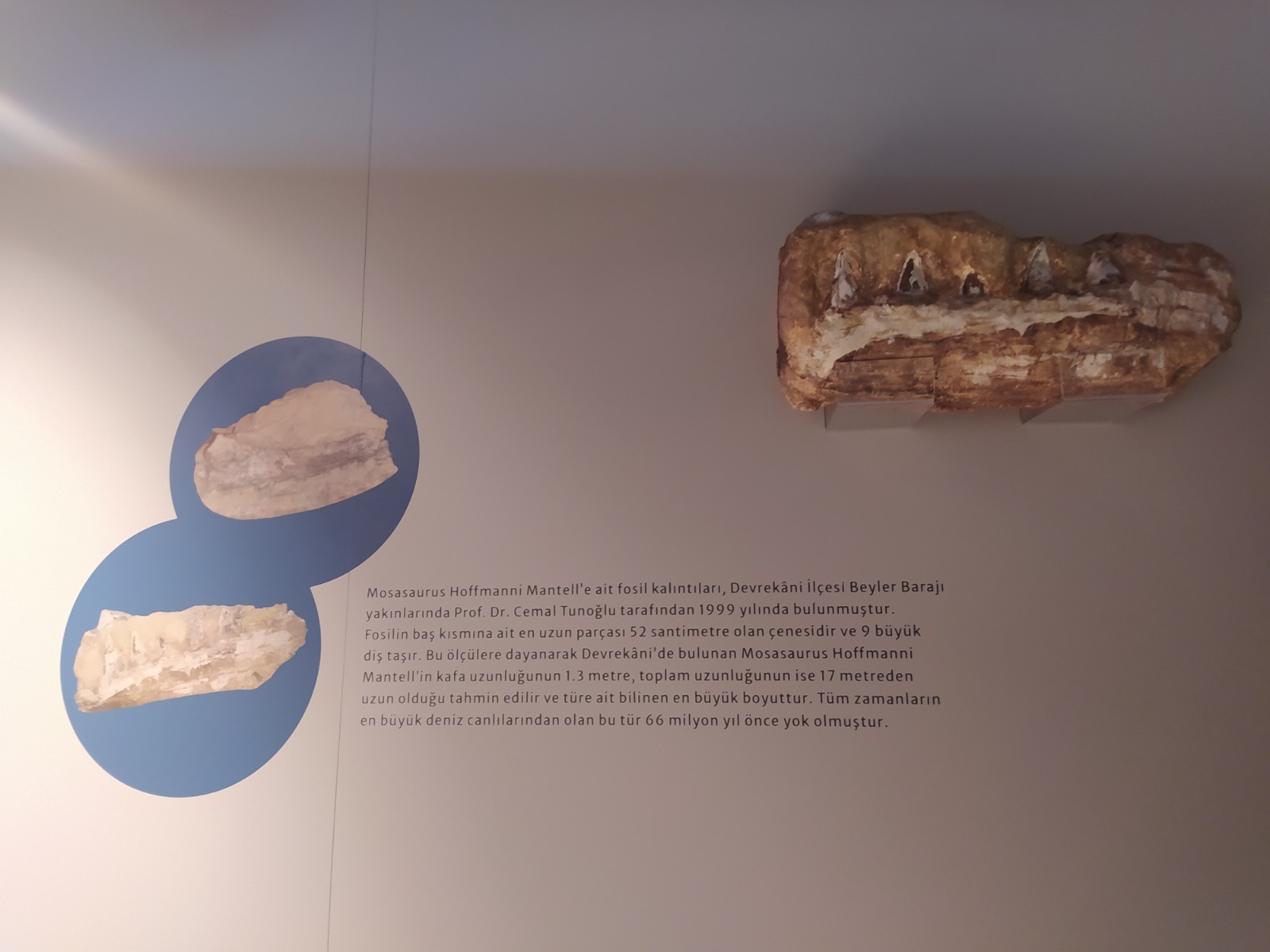 service single image