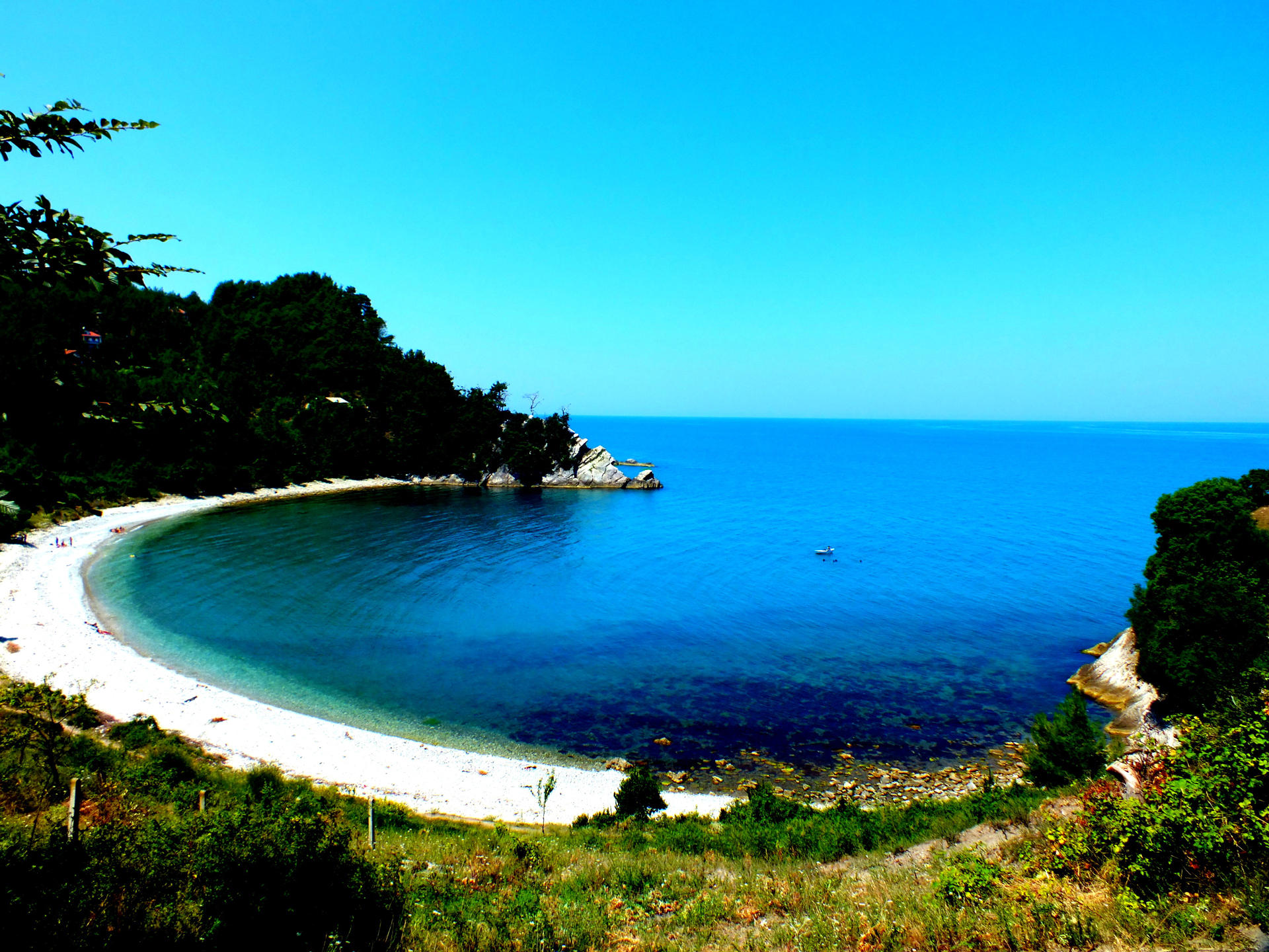 service single image